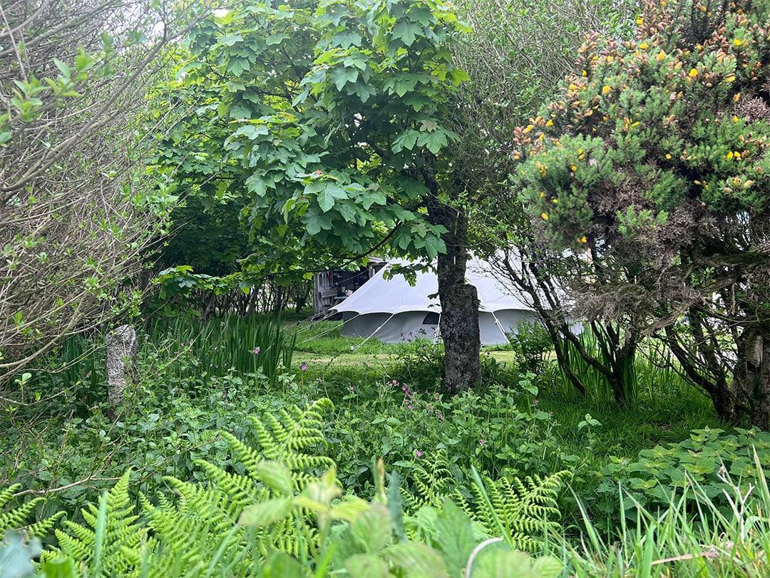 Kernow Bears Glamping Bell tent